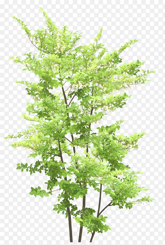 ����-������