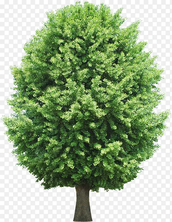 ������ӰЧ����ɫ����-������