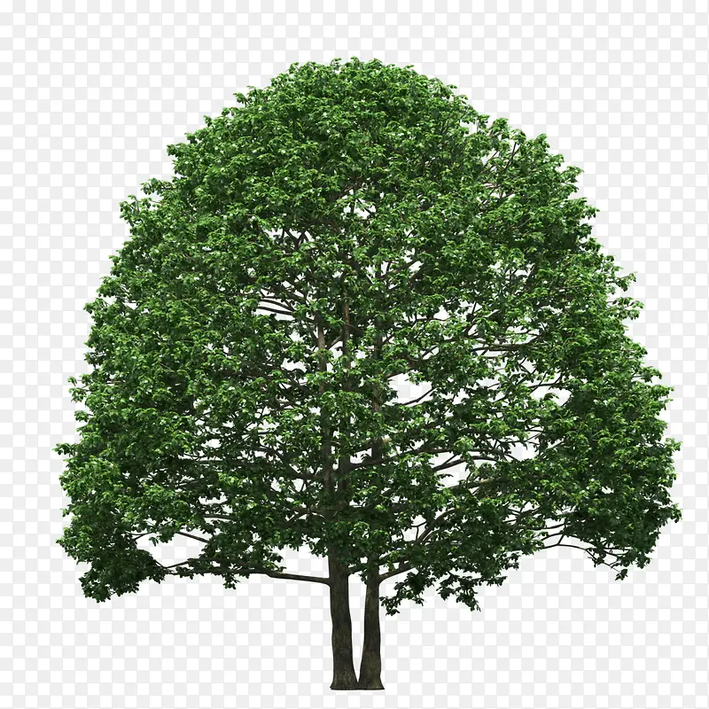 ����-������