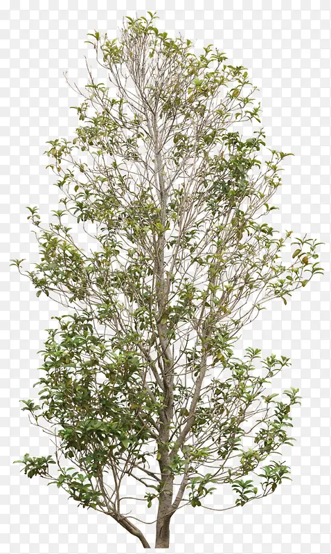 ����-������