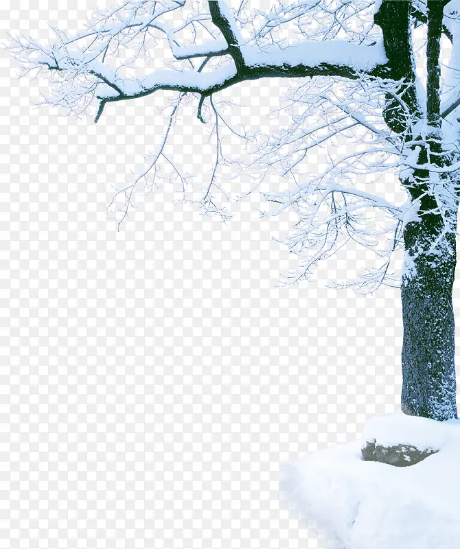 ������Ӱ������Ӱ����-������