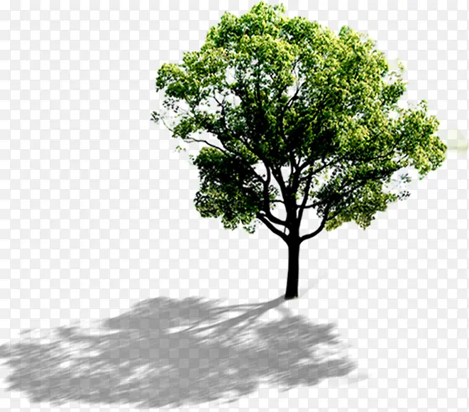 �ļ�С�����۴���-������