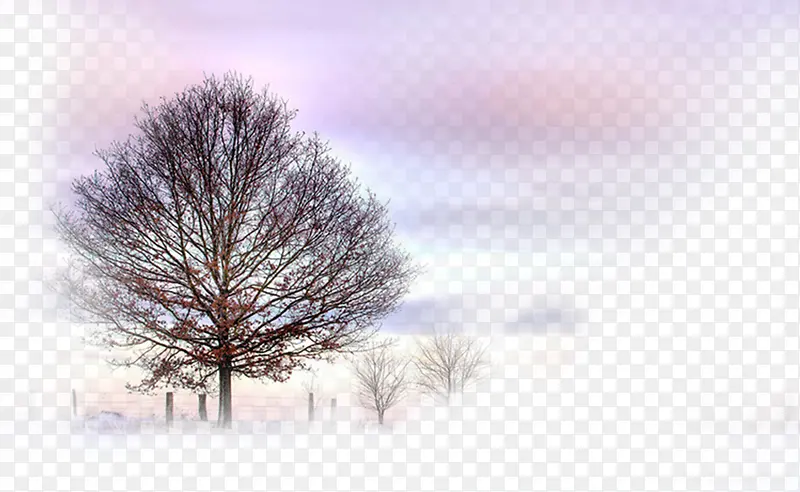 ���մ�����������-������