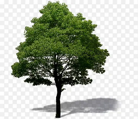 ԰���̻���������-������