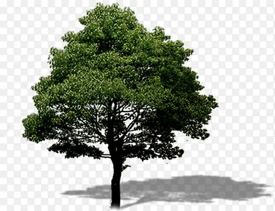 ԰��������������-������