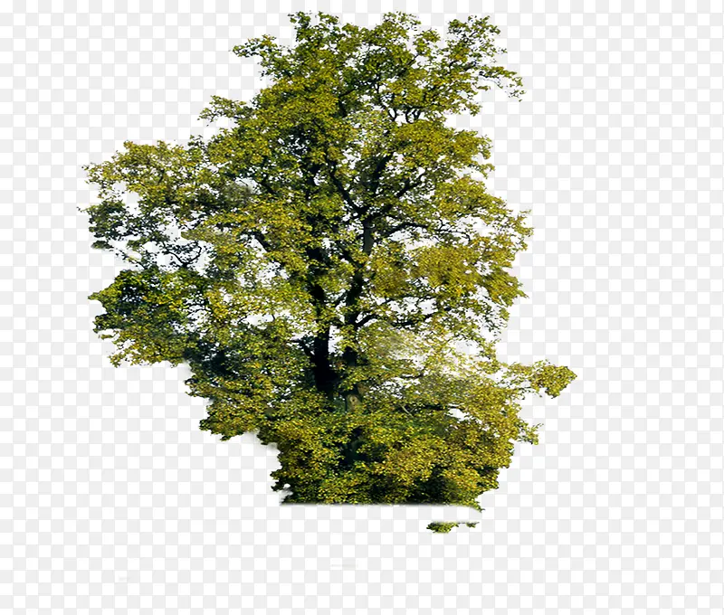 ԰�־�����������-������