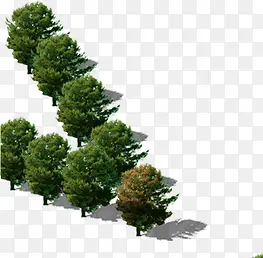 ��԰԰���̻�����-������