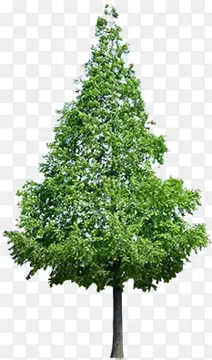 ��������ͼƬ������-������