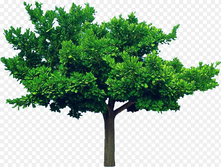 ����������������-������