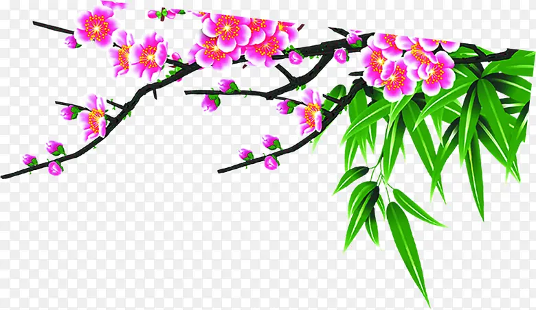 �ɰ�Ψ����������-������