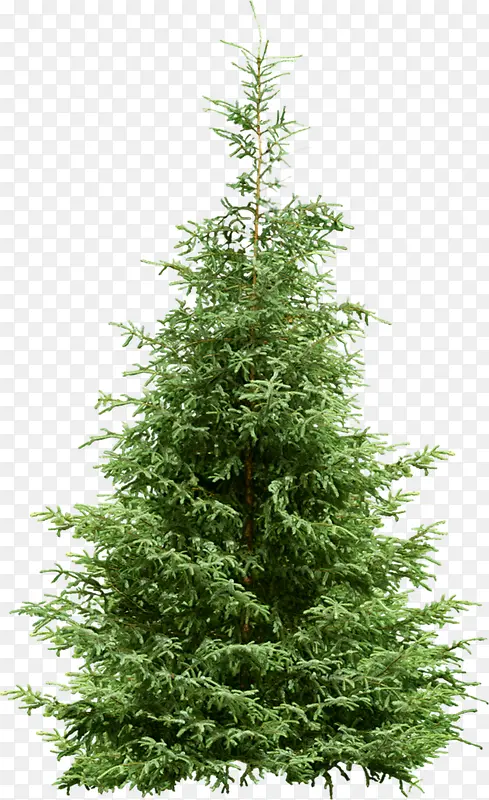 ��ɫ����ֲ�����-������