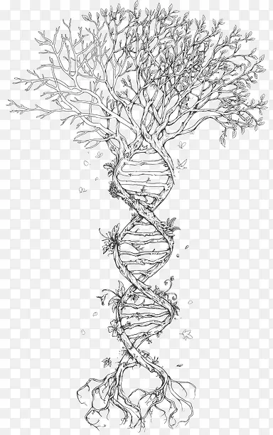 �ֻ��ɫ��������-������