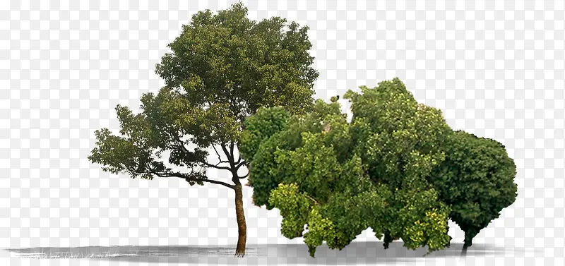 ��ֲ�������´���-������