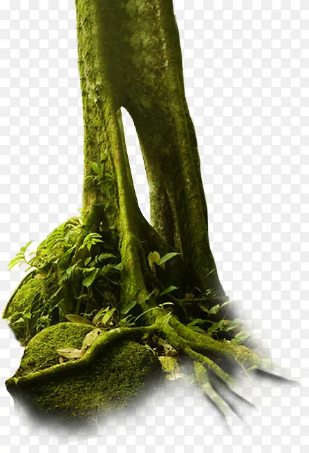 ������Ӱ��ɫ�Ĵ����ײ�-������