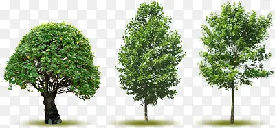 ������Ӱ������ɫ�Ĵ���԰��-������