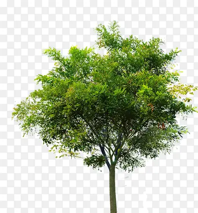 ��ɫ������Ӱ�ϳɴ���-������