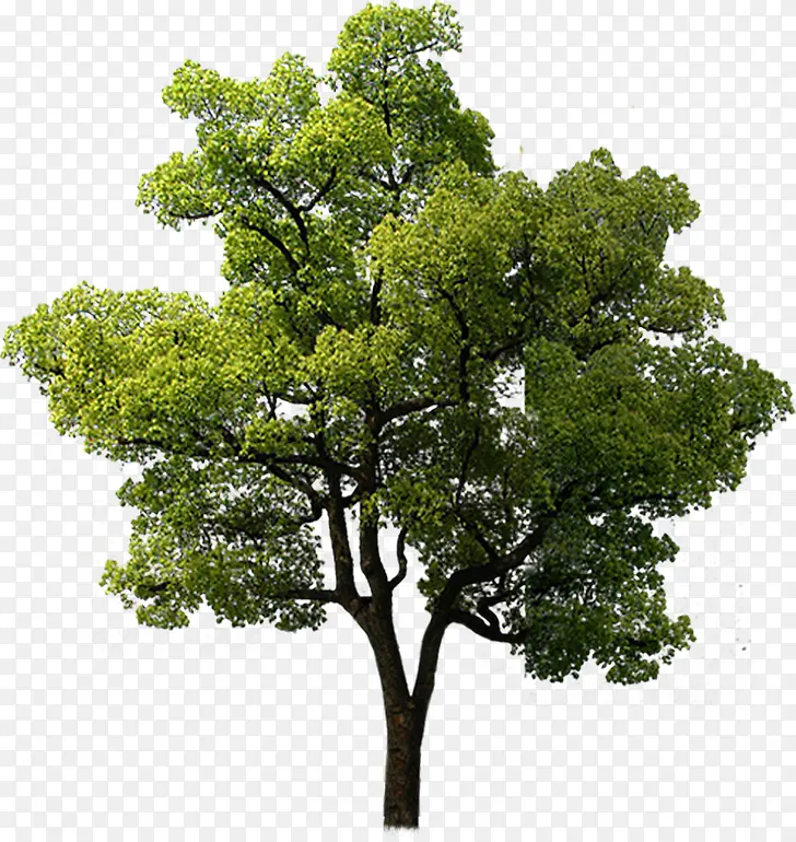 ��ɫ�����������ϳ���Ӱ-������