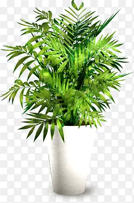 ��ɫֲ��ݵ����-������