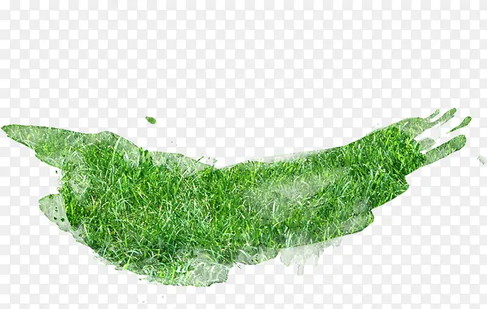 ��ɫ���崴��ݵ�-������