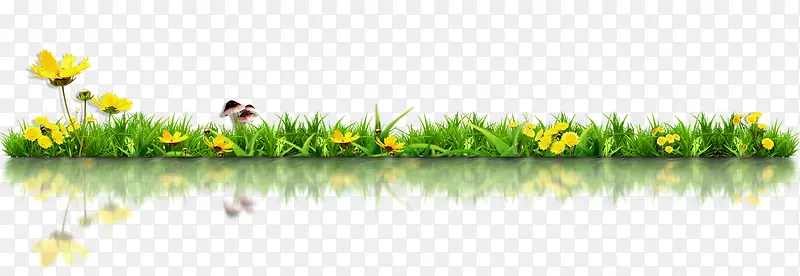 ��ɫʱ�����»��ݲݵ�-������