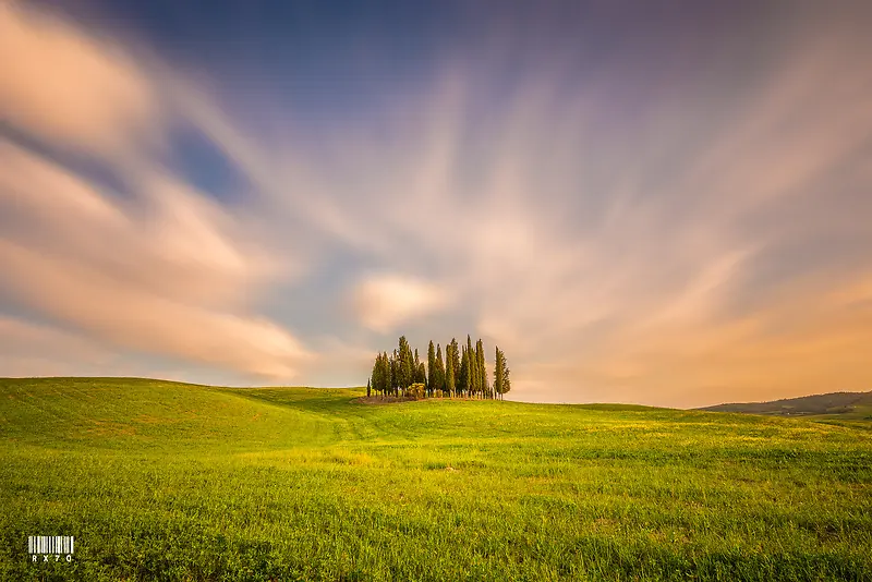 ��ɫ���²ݵ���Ӱ-������