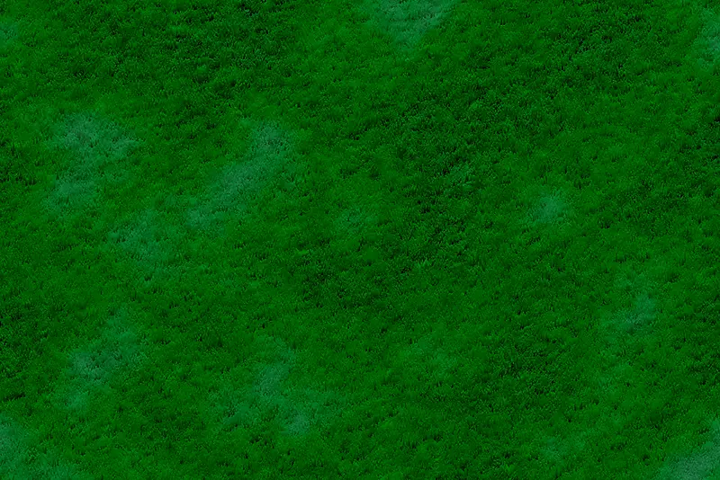 ��ƺ����-������