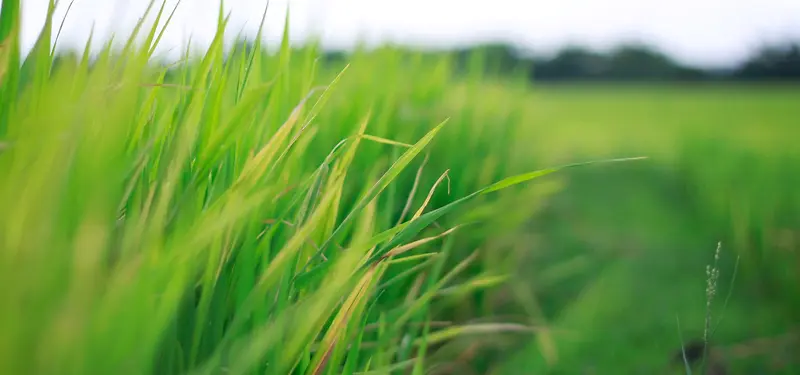 �����ɫ����-������