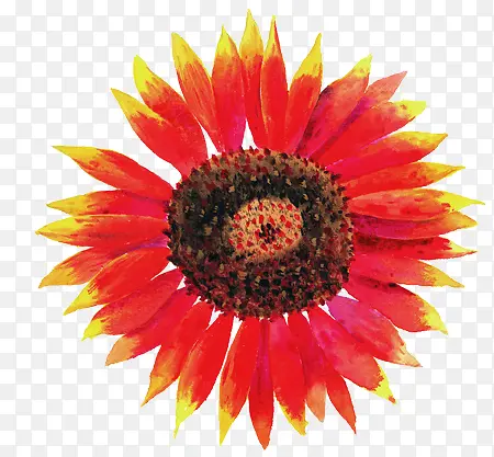 �ֻ滨��-������