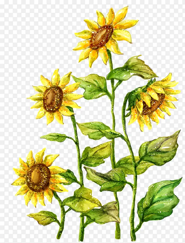 �ֻ����տ�-������