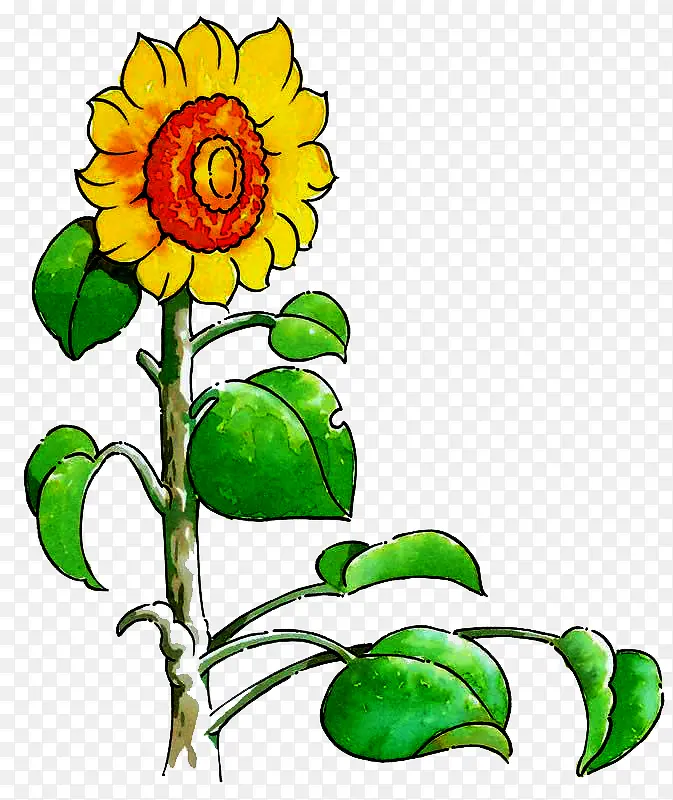 �ֻ����տ�-������