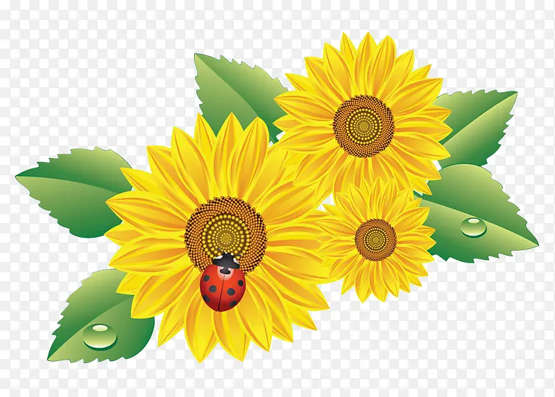 ���տ�������-������