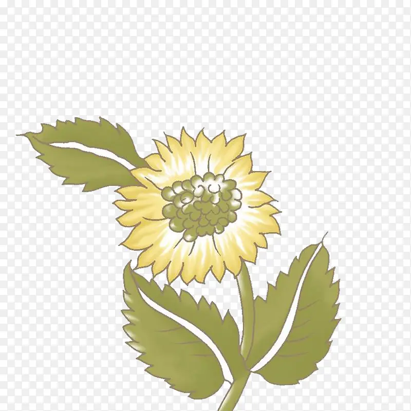 �����ֻ�-������