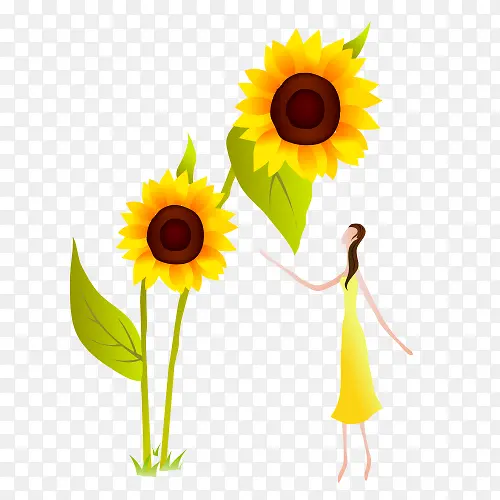 �ֻ����տ�-������