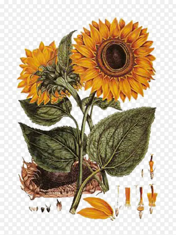 �ֻ����տ�-������