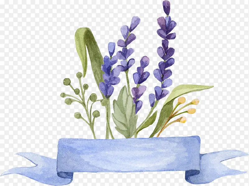 ޹�²�-������