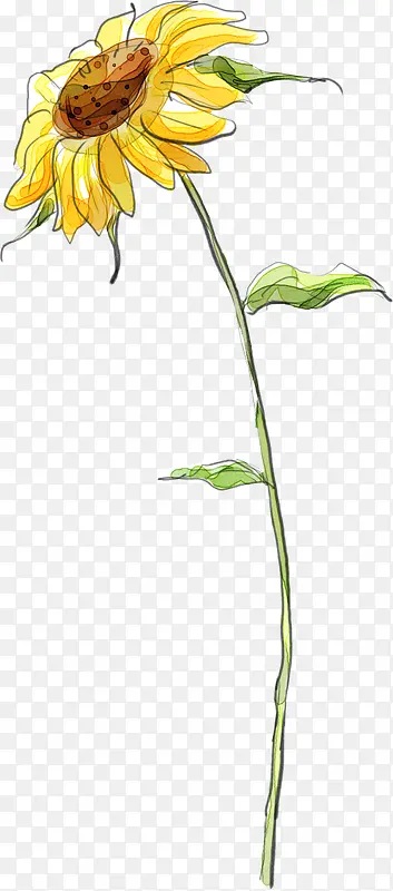 �ֻ����տ�����ͼƬ-������