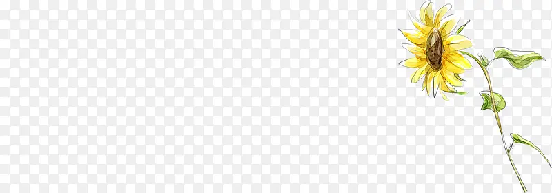 �ֻ����տ����⻭��-������