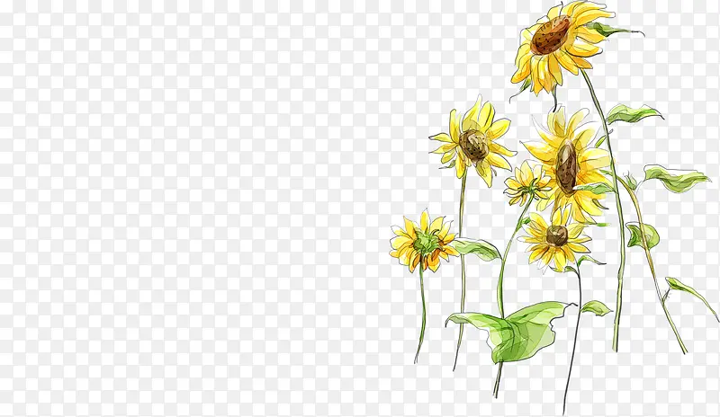 �ֻ����տ�����廭-������