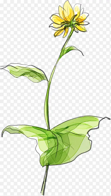 �ֻ����տ����⺣��-������