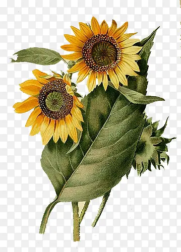 ���տ��ֻ�廭�ز�-������