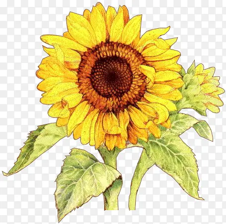 �ֻ濨ͨ���տ�-������