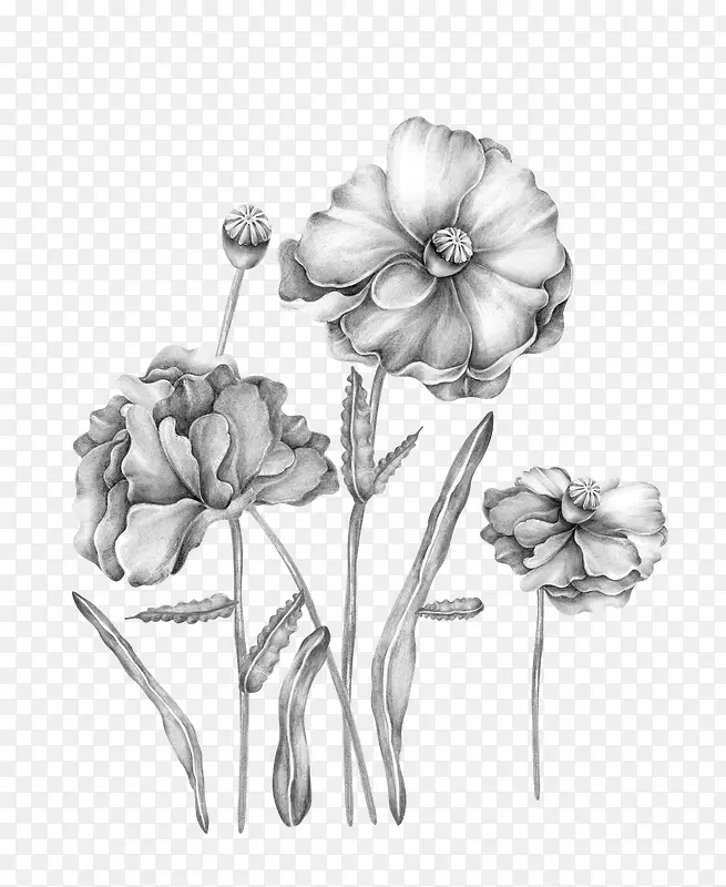 �ֻ滨��-������