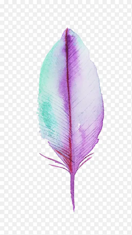 �ֻ�С�����ֻ�С�����ز�-������