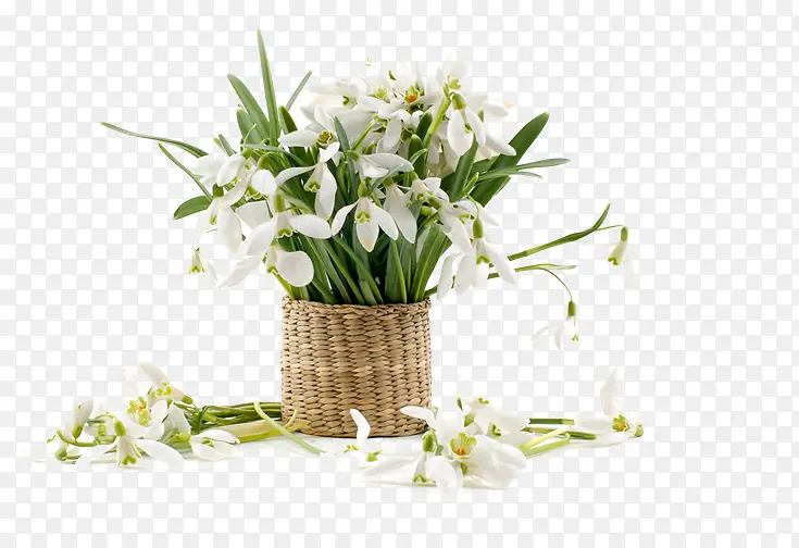 ��ͨװ���ز���԰��-������