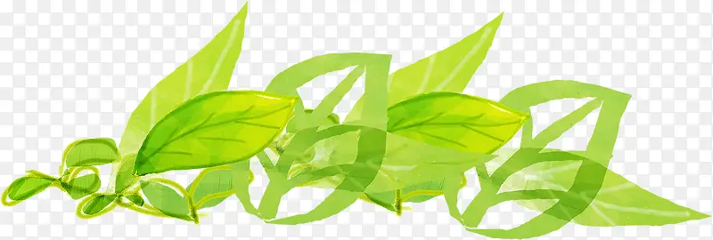 �ֻ�Ҷ�Ӳ廭���-������