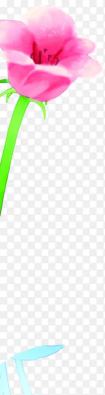 �ֻ�廭��ɫ�������-������