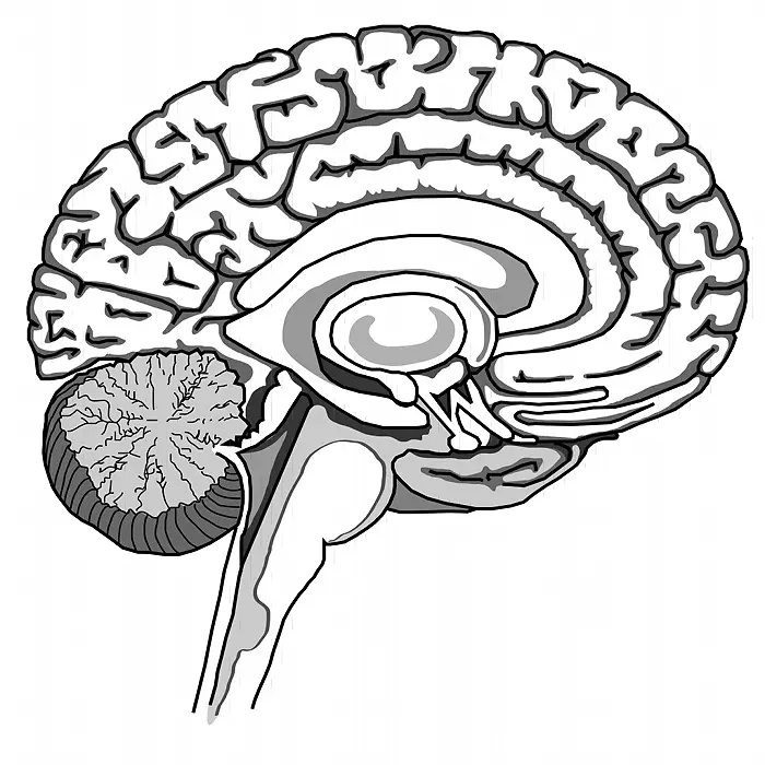 ���԰��ʼ�����-��ɫ��������ͼƬ-������