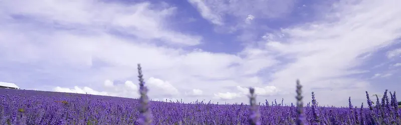 ��������-������