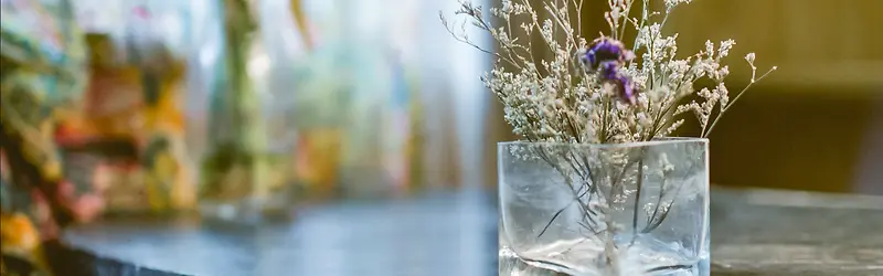 ���䱳��Ψ���������������ſᱳ���ʸ�����Ѥ���ͷ�-������