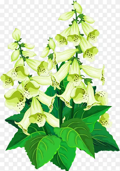 ����-������